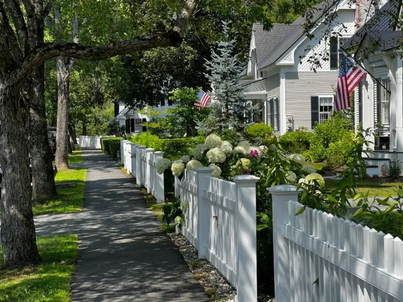 Beautiful suburban street in summer with white picket fences and American flags.